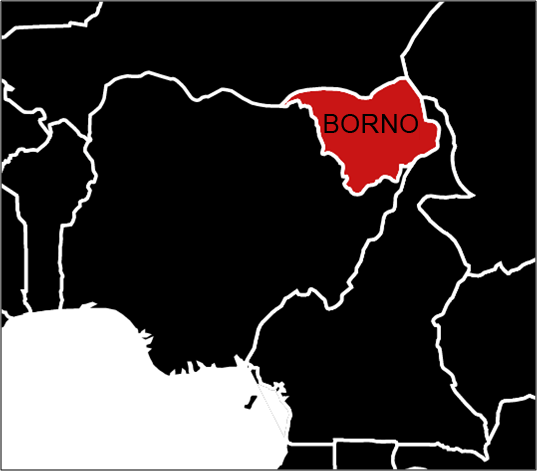 Boko Haram Releases Bride Abducted In Borno