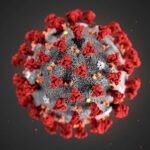 COVID-19_coronavirus