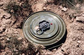 Boko Haram: Landmines kill 7 hunters in Borno again