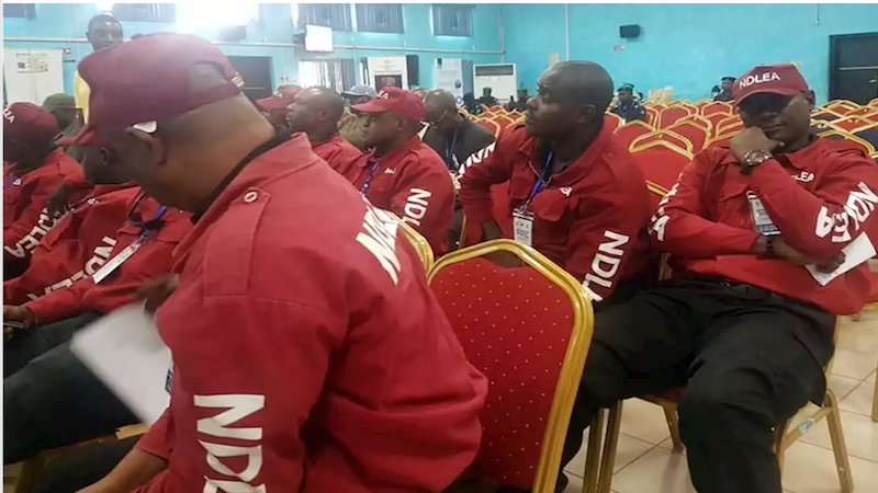 NDLEA releases latest update on recruitment