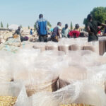 Beans at the Auta-Balefi Beans Market along Abuja-Keffi highway, on Monday