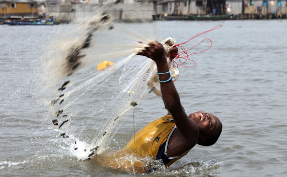 Kwara moves to stop fishing activities around Dam - Daily Trust