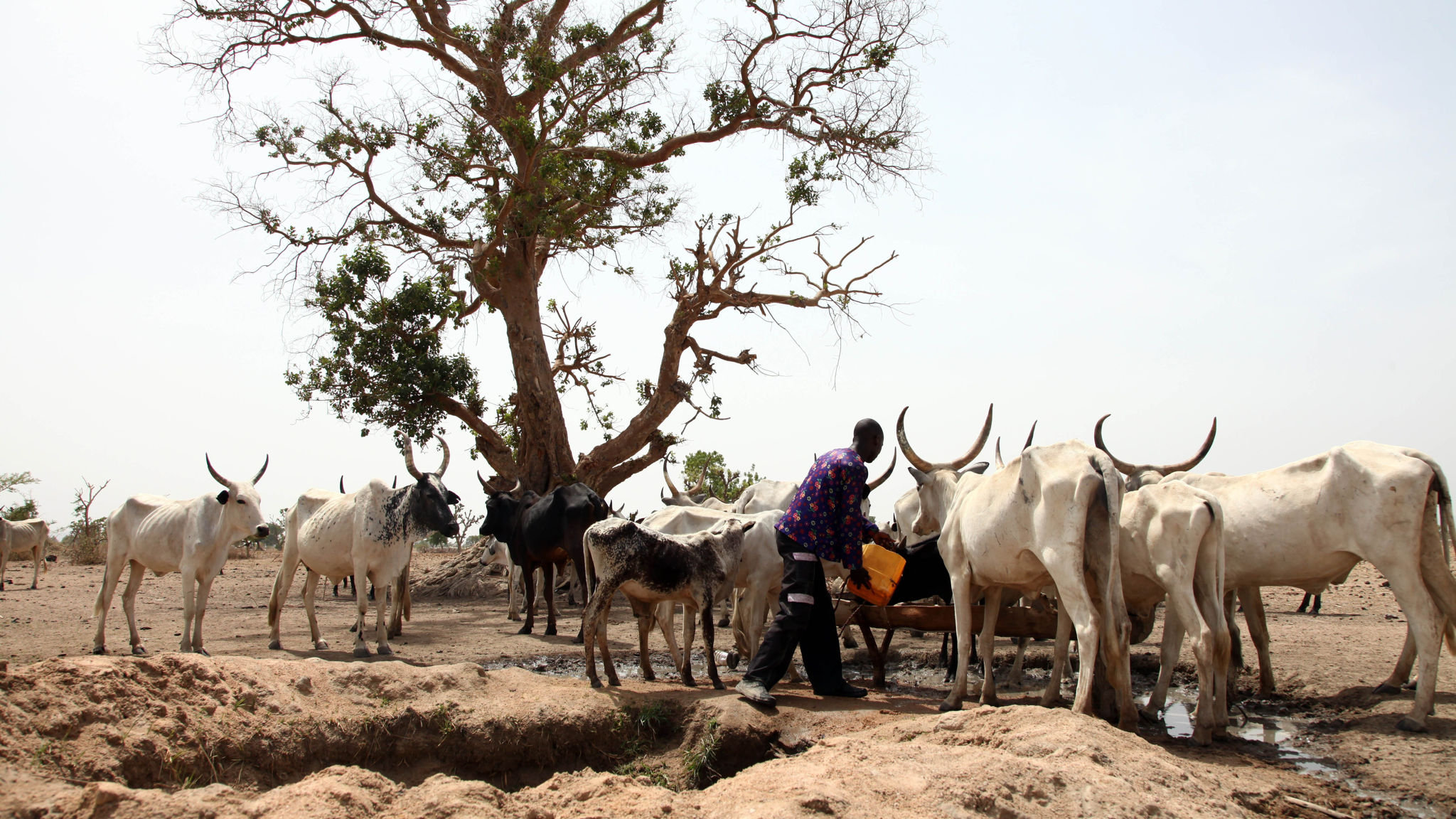 Mediation restores peace in Taraba farmer-herder clashes