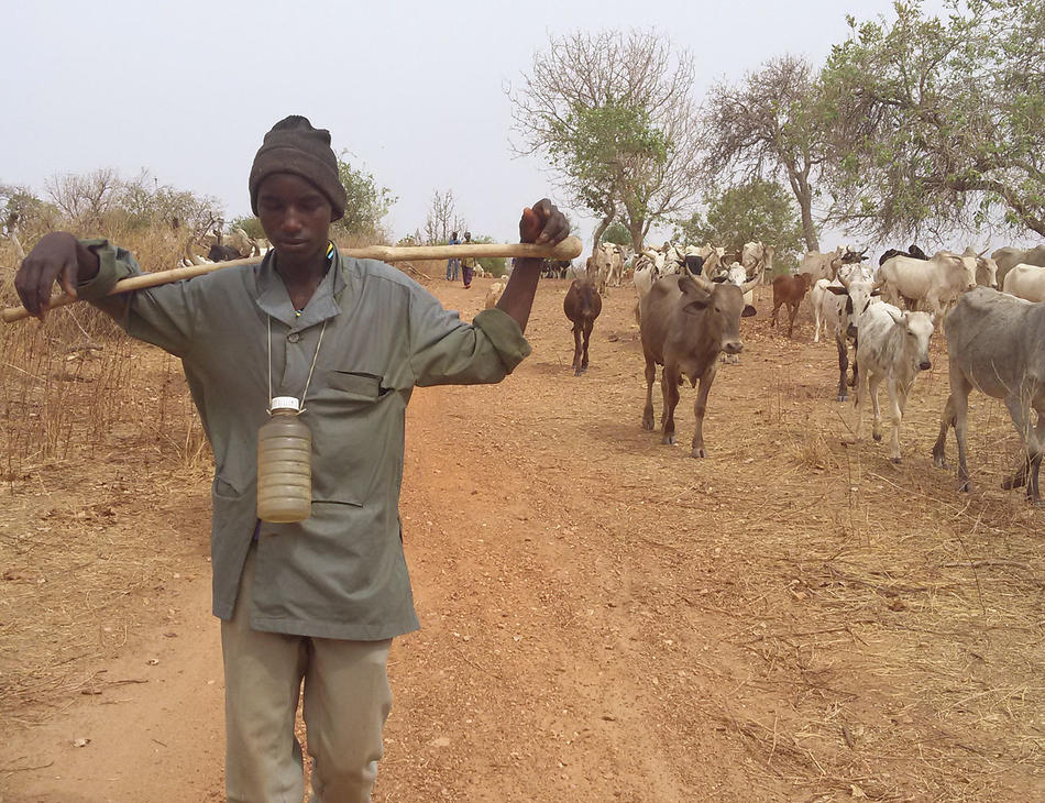 Over 4,000 Southern-based herders relocate to Kaduna