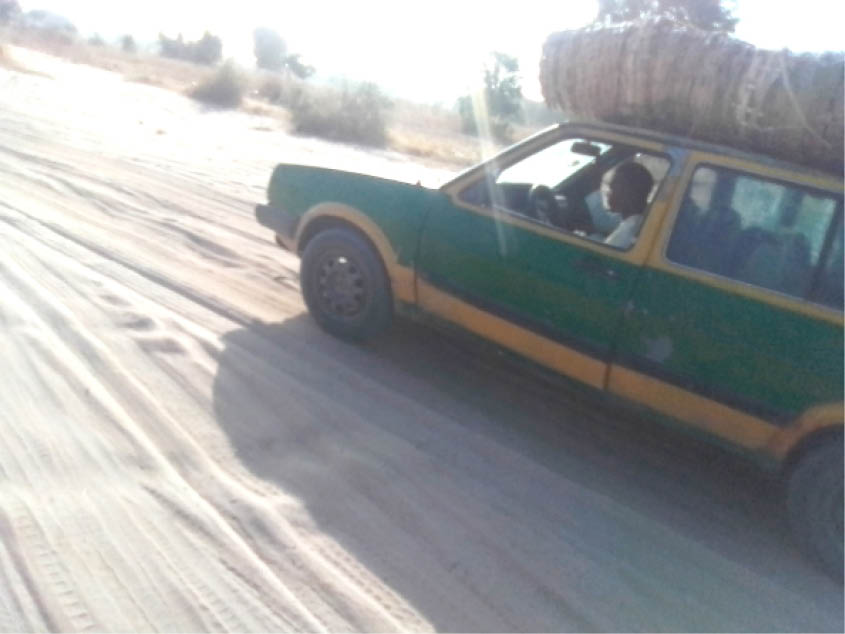 100 days after Boko Haram attack, Zabarmari rice farmers still off farms