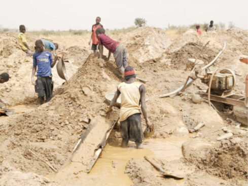 Young men searching for gold from the paste of excav ated sand. Inset, gold particles scooped by the local miners