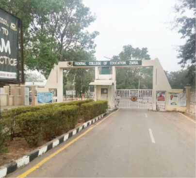 Why Zaria hosts many tertiary, research institutions - Daily Trust