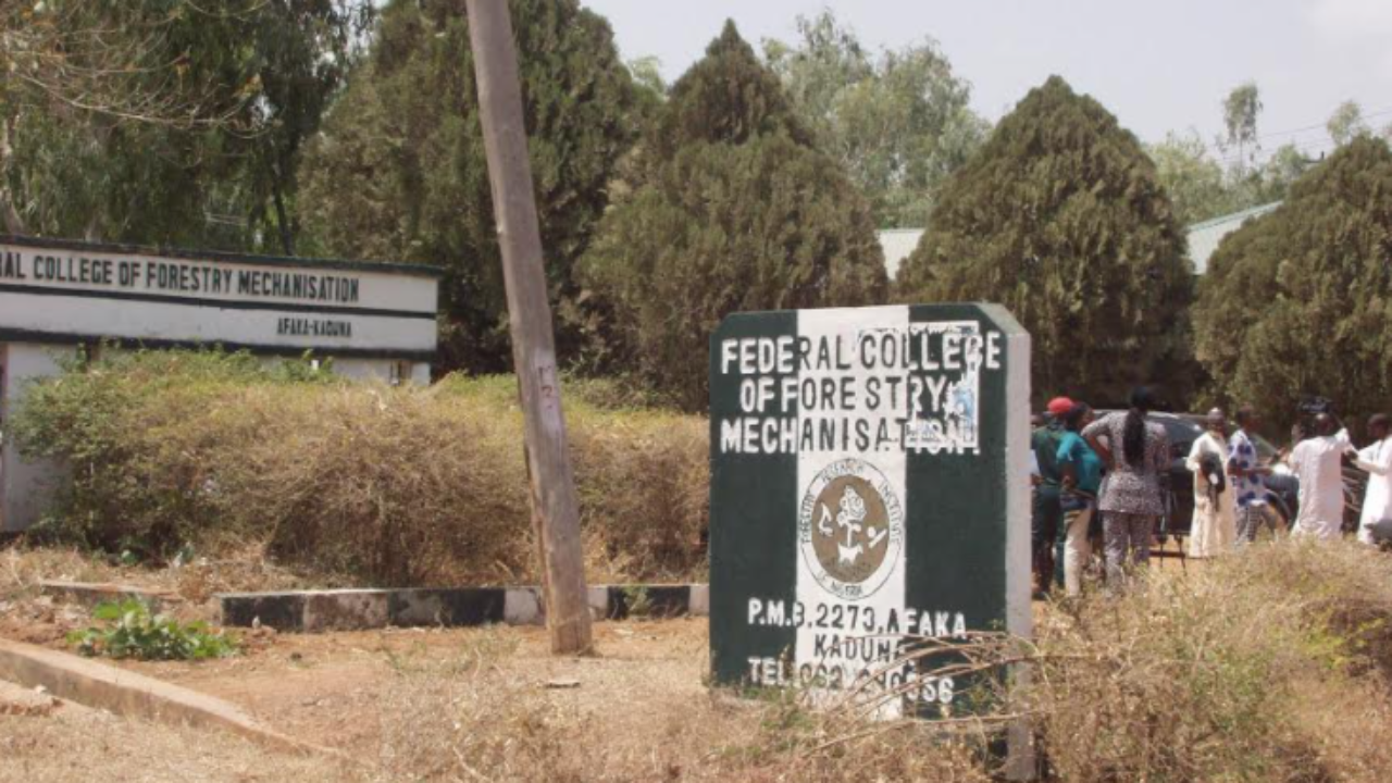 Rescue intensifies for 39 kidnapped Kaduna students