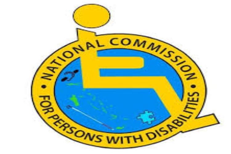 Commission Tasks States On Implementation Of Disability Act - Daily Trust