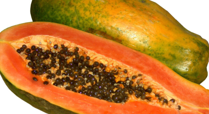 No evidence male papaya root will treat erectile dysfunction