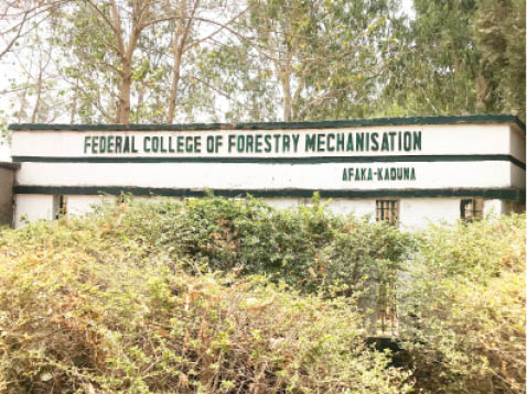 Federal College of Forestry Mechanisation Afaka has been closed temporarily since the abduction of 39 students, over two weeks ago