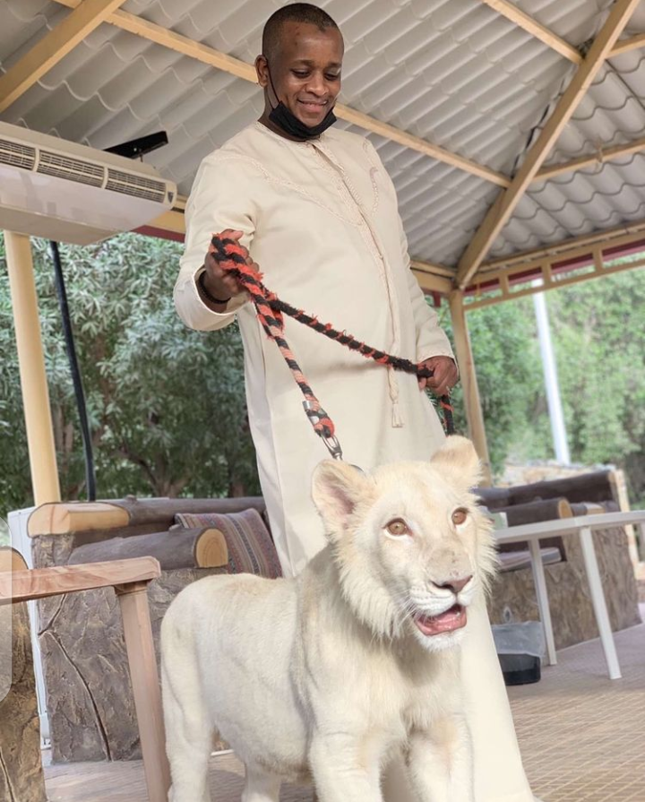 PHOTOS: Zahra Buhari’s husband acquires lion as pet