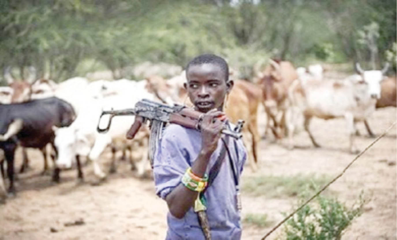 Fact-check: These pictures of armed herders are not from Nigeria