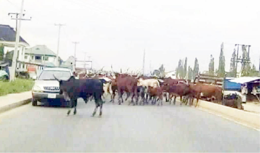 Bayelsa’s new grazing law seeks to end herders/farmers clashes