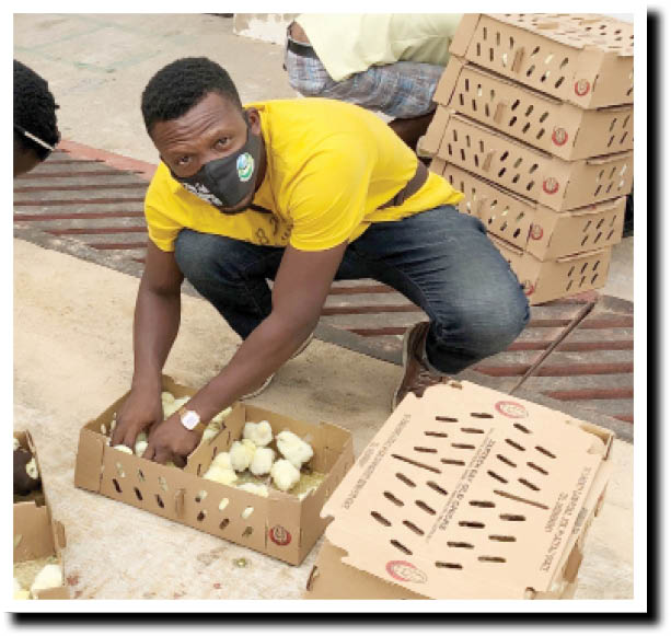 Banker-turned poultry farmer, Ogunsua, woos youths