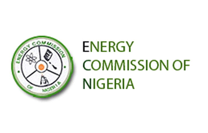 Energy commission urges states to establish power plants