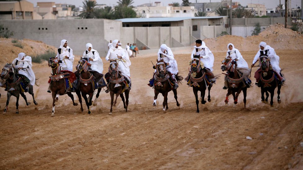 Niger govt bans horse riding during festivals