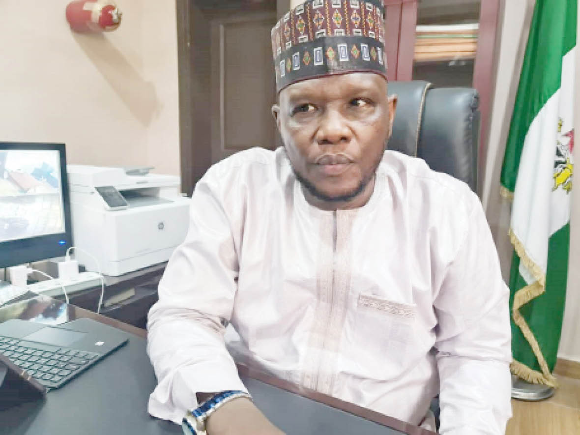 Why we’re targeting N16bn revenue this year — Chairman, Borno IRS ...