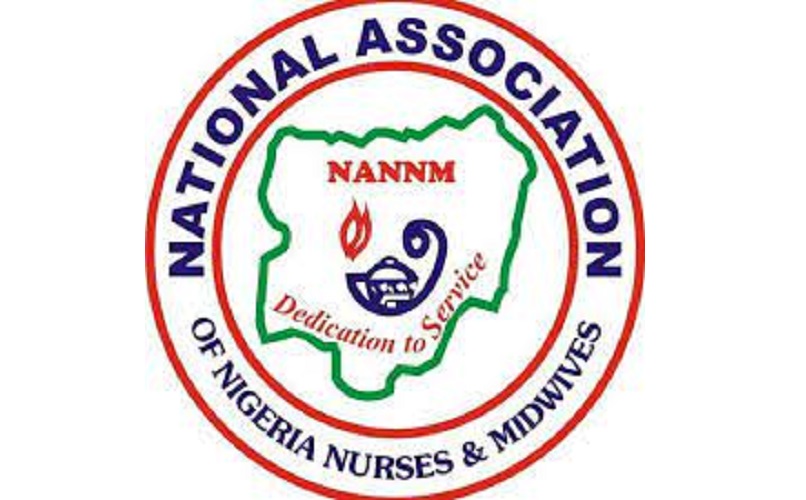 Japa: Nurses, midwives ask FG to create separate salary structure