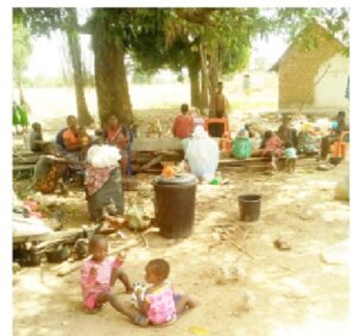 Insecurity: Food crisis looms as farmers abandon farms in Benue, Nasarawa