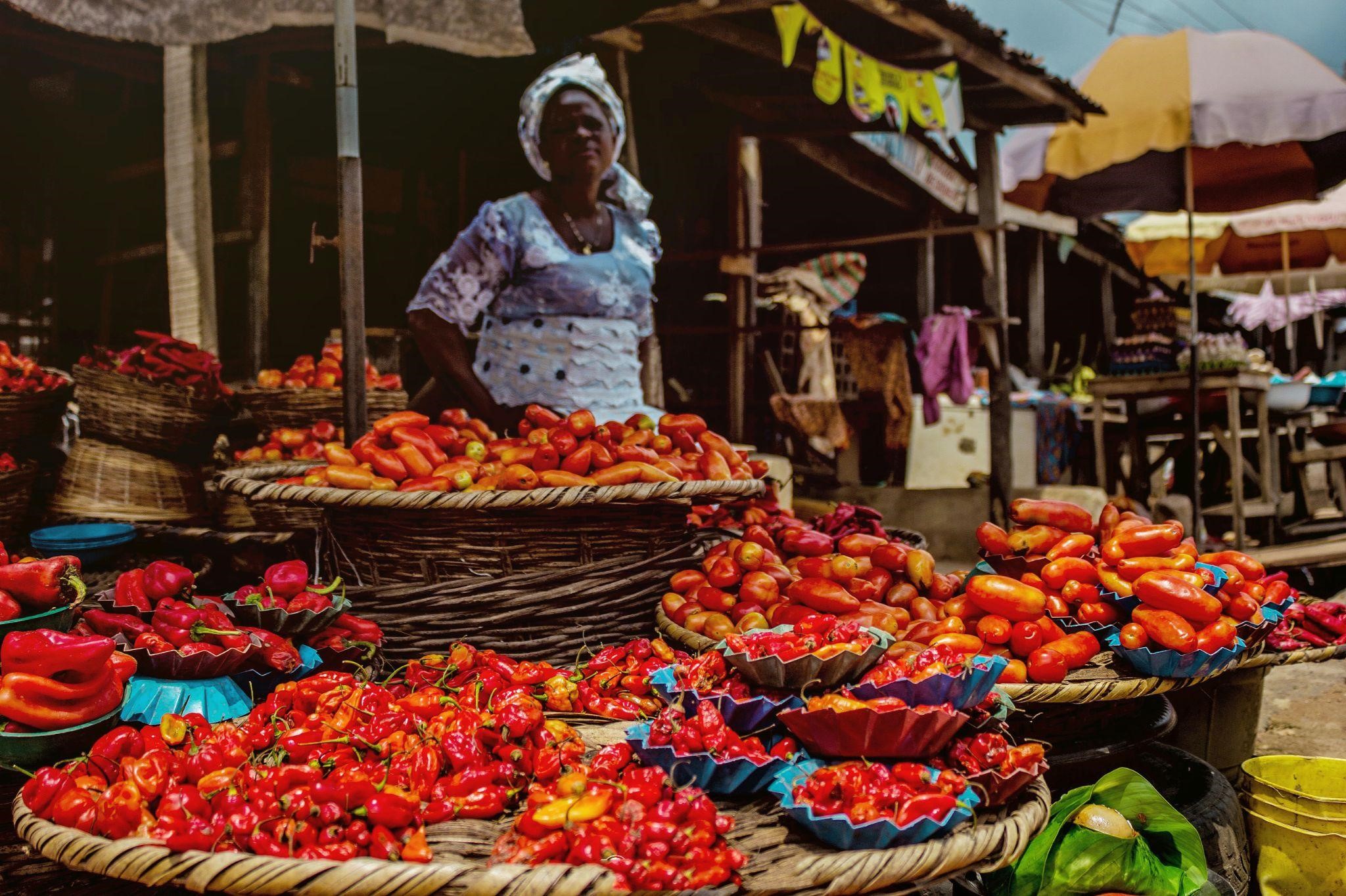 Prices of tomatoes, pepper crash as Onion spikes in Jos