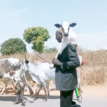 File photo of a herdsman tending to his cattle in Wassa, Abuja Photo: Taiwo Adeniyi