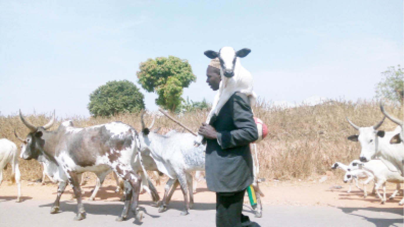 ‘421 pastoralists killed within 3 months in 4 states’