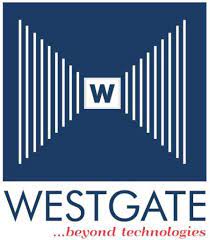 Digital economy key to future — Westgate boss - Daily Trust