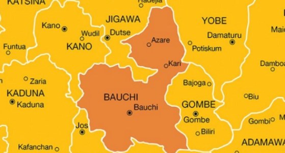 Woman poses as worker, abducts newborn twin at Bauchi hospital