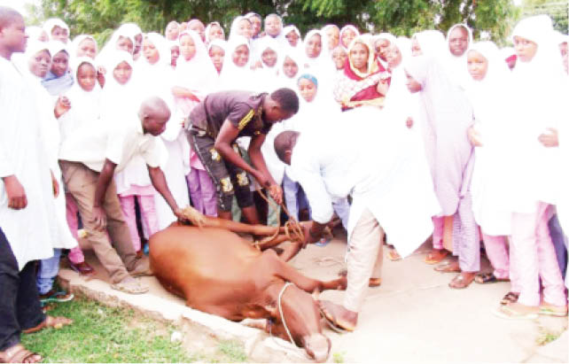 Kano boarding students recount first Sallah ever in school