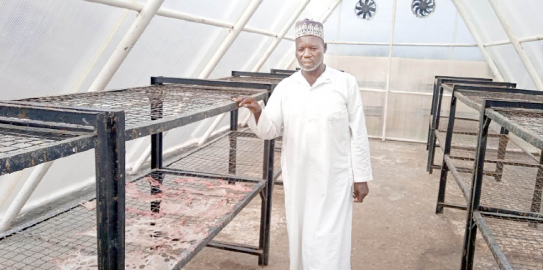 Inside solar-powered Kilishi factory that is changing lives in Katsina community