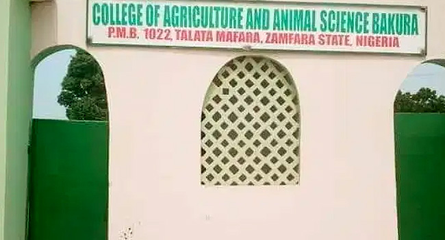 College of Agriculture and Animal Sciences in the Bakura Local Government Area of Zamfara State