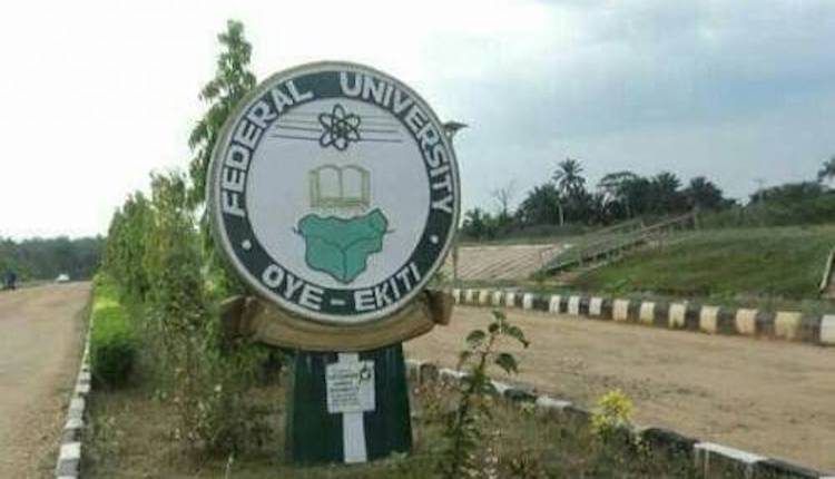 Police arrest 10 over killing of Ekiti varsity nursing student