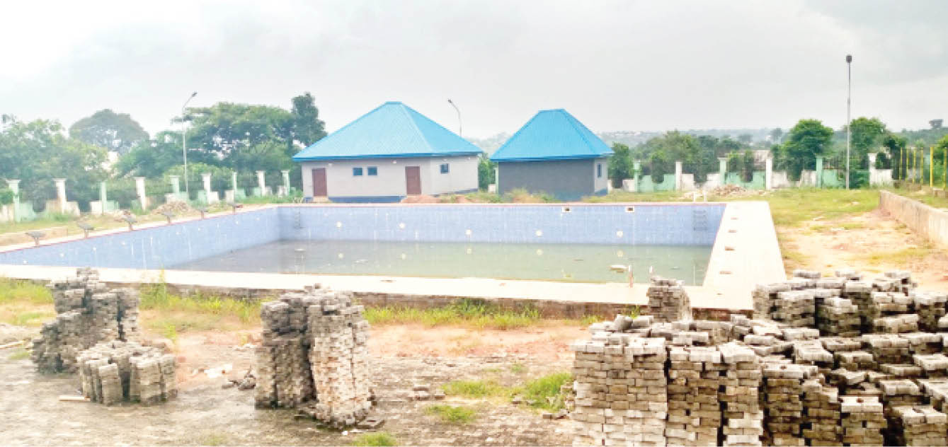 Multimillion naira ‘Anambra swimming pool’ taken over by reptiles