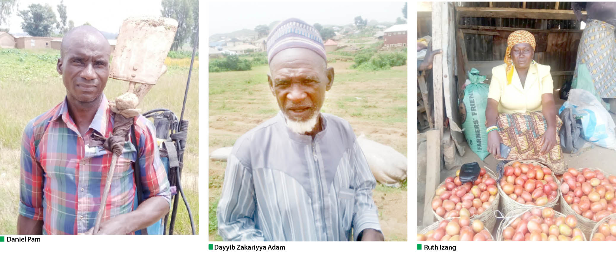 Jos crisis: Farmers, crop sellers declare multi-million-naira losses