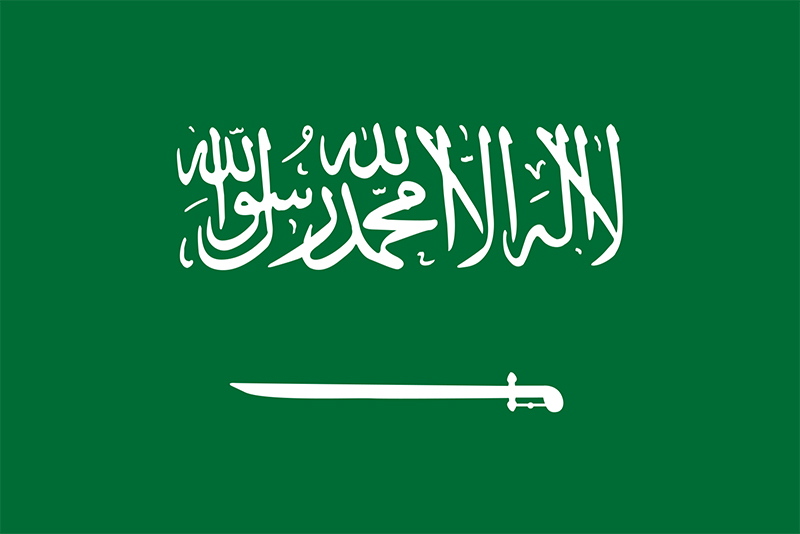 Saudi palace politics