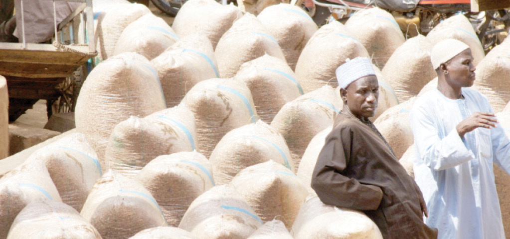 Mad rush as new grains arrive Kano Dawanau market