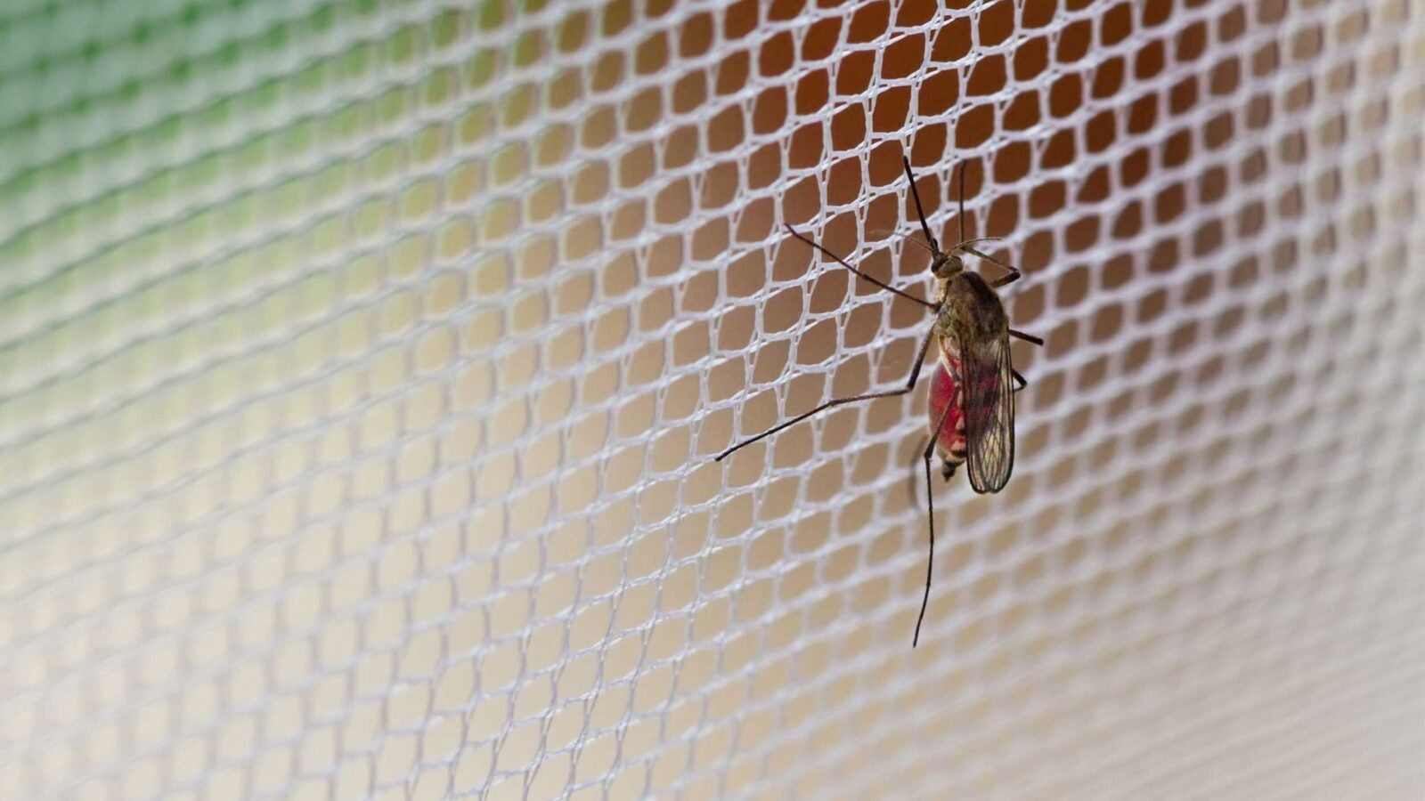 Senate knocks FG over plan to borrow $200m for mosquito nets