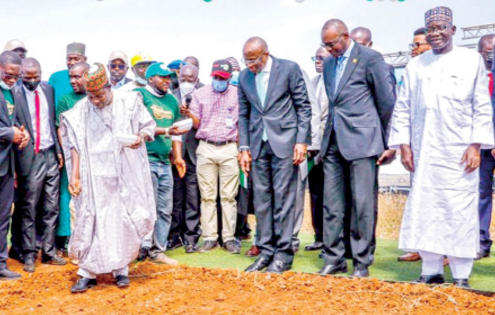 Buhari flags off first commercial wheat farming in Nigeria