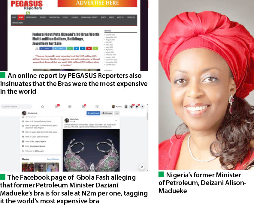 Is Diezani's bra truly the world's most expensive? - Daily Trust