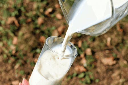 We’re embarking on artificial insemination for milk, meat improvement