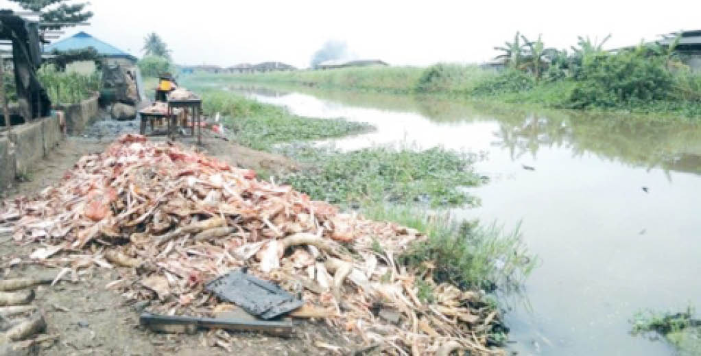 Inside Edo community where people live with dung, blood from abattoirs