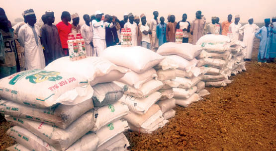 NIGERIA DAILY: How Price of Fertilizer will Affect Farming This Season