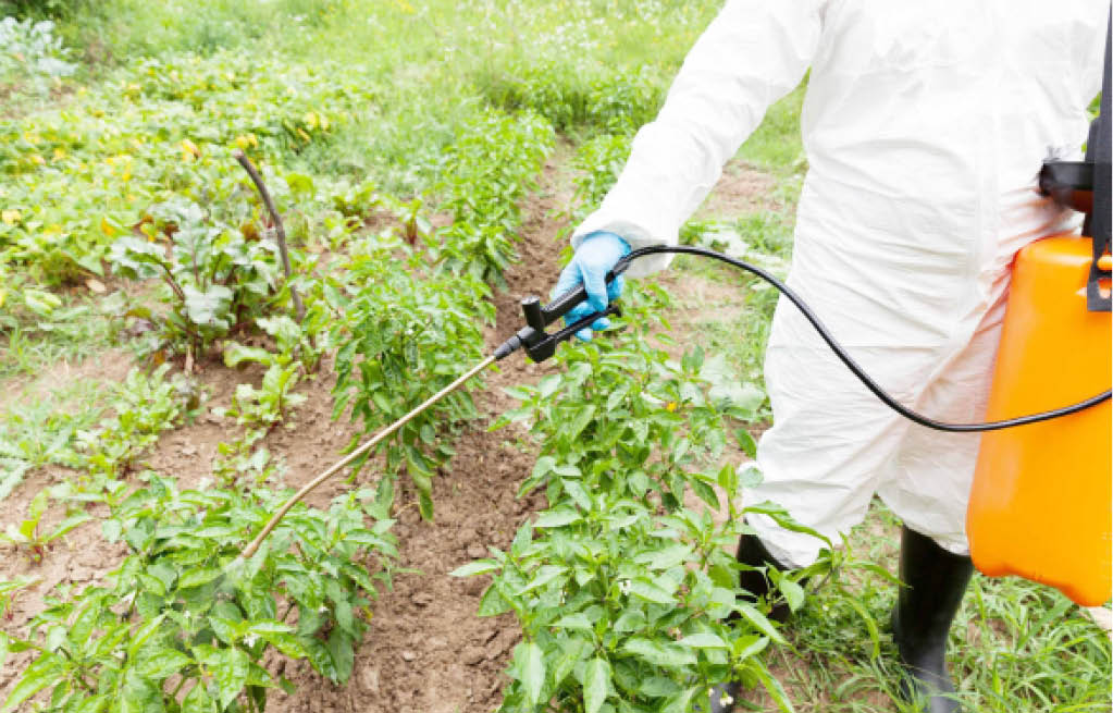 Unmasking the silent menace: The deadly consequences of pesticides in Nigerian agriculture