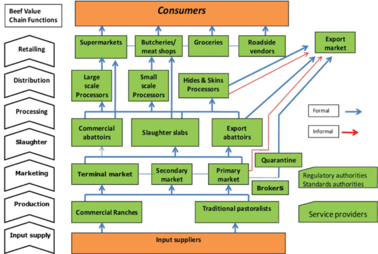 Cattle: Why the threats for a multi-billion naira value chain? - Daily ...