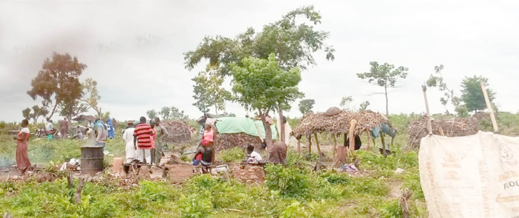 Hunger looms in Niger communities as bandits levy farmers