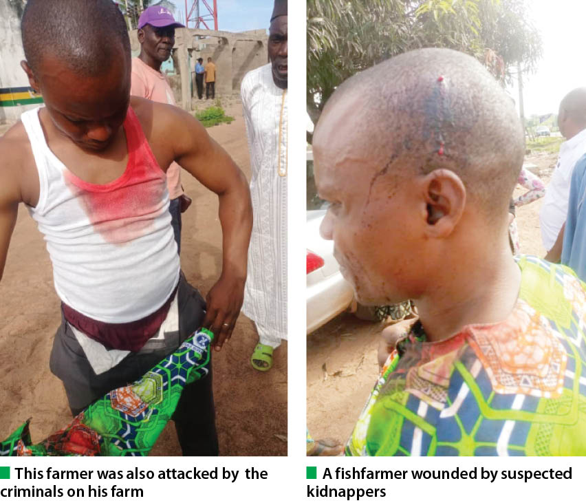 Kidnapping threatens catfish business in Kwara