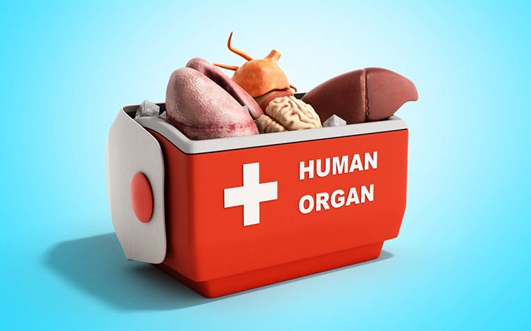 Grey Areas: Organ Transplantation in Nigeria