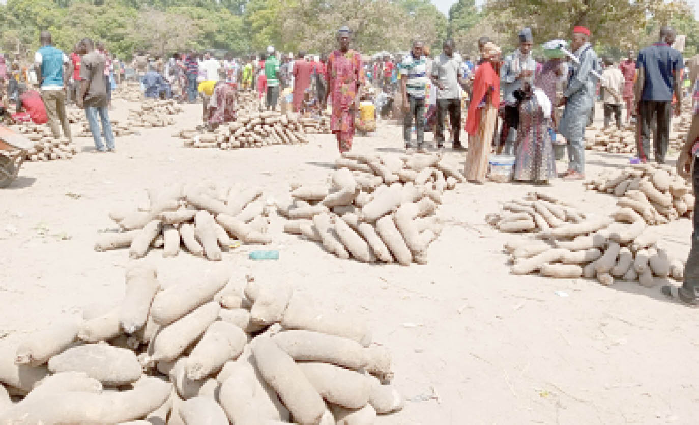 Niger yam farmers in a fix over cost of seedlings, kidnapping