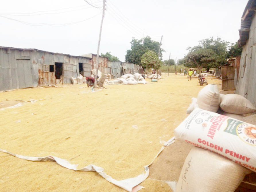 NIGERIA DAILY: Why Rice Is Expensive In A Country Producing It